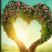 Trudy Wolfe - Facebook