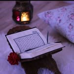 True Love Is Allah - @trueloveisallah - Instagram
