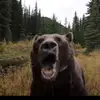 TrueAllah - @trueallahu - TikTok