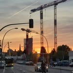 true crane lover - @krankatjar.cranelover - Instagram