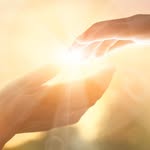 True Devine Wellness - @coachshammyhenderson - Instagram