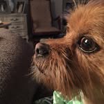 Truly Johnson - @truly.johnson - Instagram