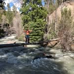 Truman Barlow - @barlow.truman - Instagram