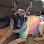 Truman Campbell - @truman.campbell - Instagram