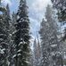 Truman Campbell - Facebook