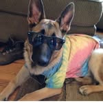 Truman - @truman_campbell - Instagram