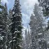 trumancampbell945 - @trumancampbell945 - TikTok