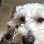 Truman Carter Gal - @ilovethisplanilovethisplan - Instagram