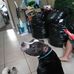 Truman Lee - Facebook