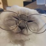 Truman Lee - @justin.trudope - Instagram
