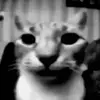 Truman - @trumann.lee - TikTok