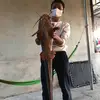 Gấu 🐻 - @trungluc17 - TikTok