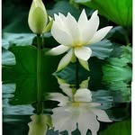 Trung Luc Thanh Trung - @trunglucthanhtrung - Instagram