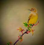 Trupti Dave - Facebook