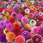 Trushant Mehta - @trushantmehta - Instagram