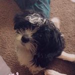 Trystan bennett - @kapzxy_ - Instagram
