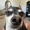TrystanMartinez - @canada_smlh2o - TikTok