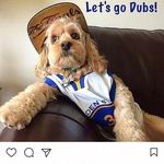 Tse Liang - @steph_curry_dub_nation - Instagram