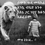 Tsahay Kebeda - @tsehay_kebede_hailemariam - Instagram