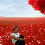 tsehay kebede - @tsehaykebede082 - Instagram