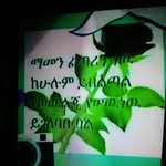 Tsehay Kebede - @tsehay.kebede.14268 - Instagram