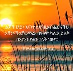 Tsehay Kebede - Facebook
