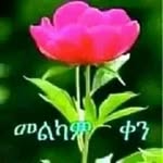 Tsehay Kebede - @tsehay.kebede.5249 - Instagram