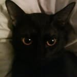 Tsz Lam Chow - @tszlam.chow - Instagram