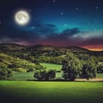 Ng Tsz Pang - @tszpang_0703 - Instagram
