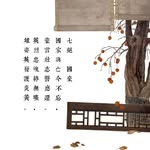 Tam TszPang - @tszpangt - Instagram