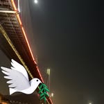 Tsz Pang Sze - @tszpangsze - Instagram