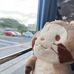 Tsz Ting - @tszting825 - Instagram