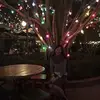 Tsz Ting - @2166726846 - TikTok