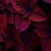 Tuaha khan - Facebook
