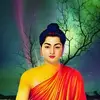 Tuấn Lâm - @tuanlam129 - TikTok
