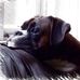 Tucker - Rampage Best Bib 'N Tucker - Facebook