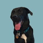 Tucker Best - @tucker.best - Instagram