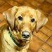 Tucker Best - Facebook