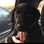 Tucker Best - @tucker.the.best - Instagram