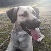 tucker the best - @tuckerthebest - TikTok
