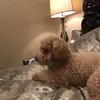 Tucker - @tuckerbest32 - TikTok