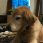Tucker Briscoe - Facebook