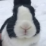 Tucker & Friends - @_tuckerandfriends_ - Instagram