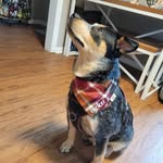 Tucker & Friends - @tuckerwithfriends21 - Instagram