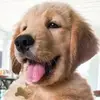 Tucker Budzyn Lover • Friend - @tuckerbudzynlover101 - TikTok