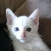 tuckerlamberson - @tuckerelisbestfriend1234 - TikTok