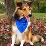 Tucker's Friendly Creations - @tuckers_friendly_creations - Instagram
