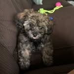 Tucker Hart - @tuckerhart0720 - Instagram