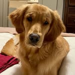 Tucker West Hart - @tuck.er_hart - Instagram