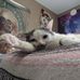 Tucker Lee - Facebook